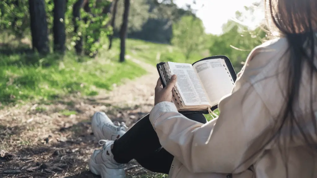 Como Estudar a Bíblia