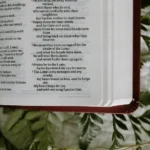 salmos 56 8