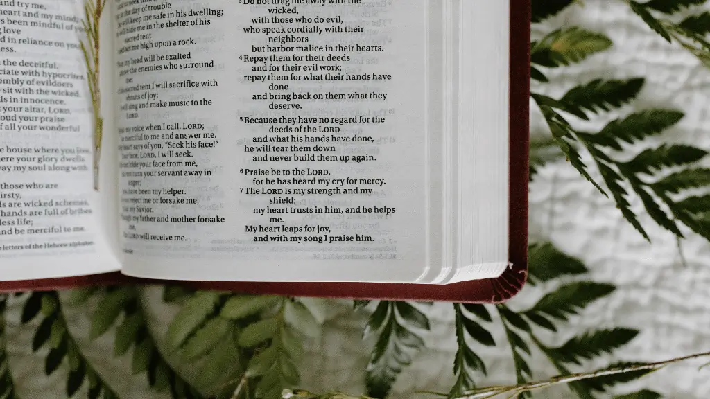salmos 56 8