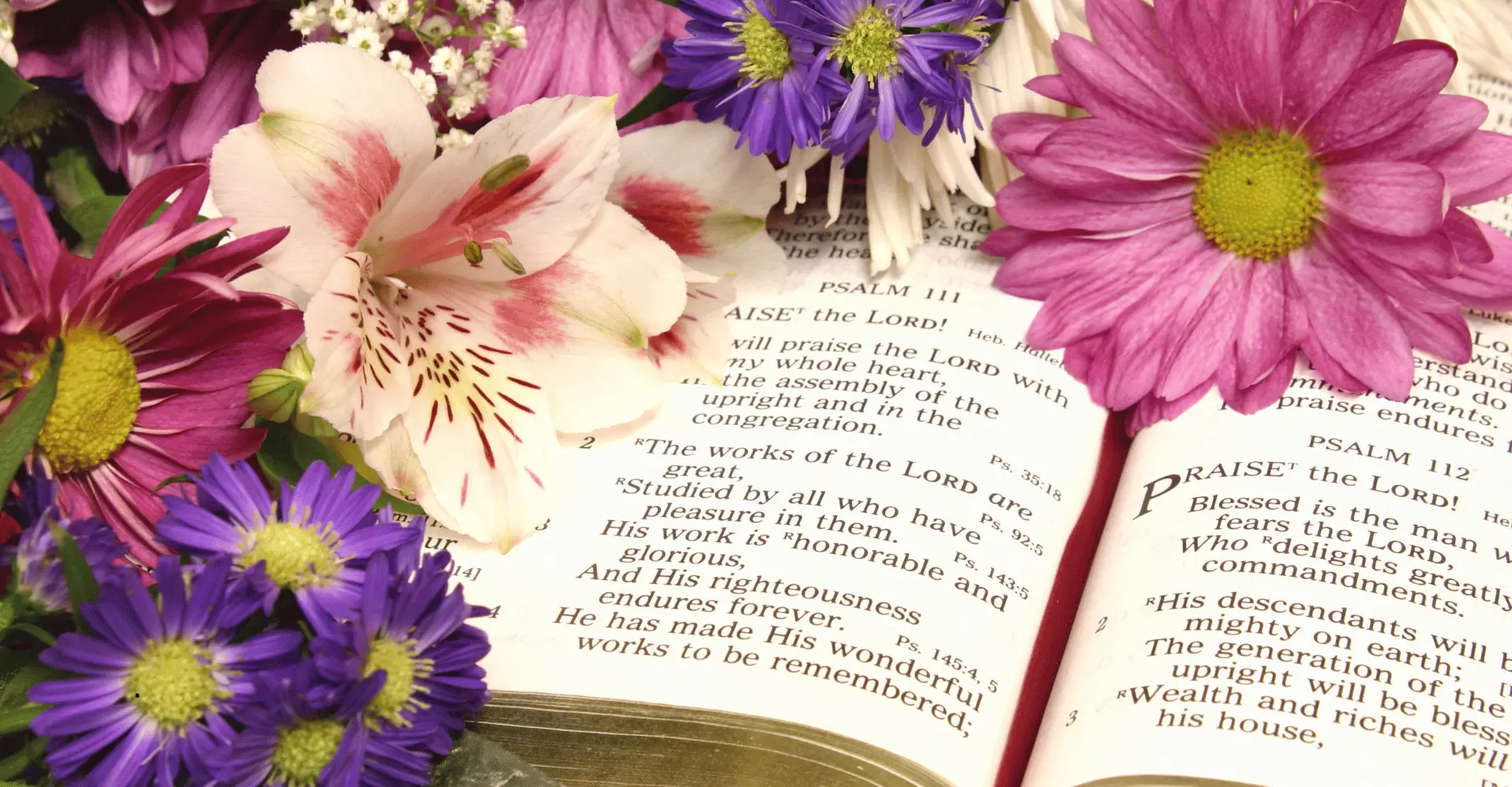 Salmos de Aniversário